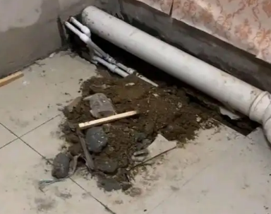 天山卫生间漏水检测哪家好