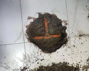 天山查漏水多少钱