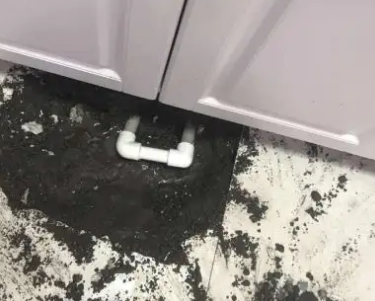 天山查漏水哪家好